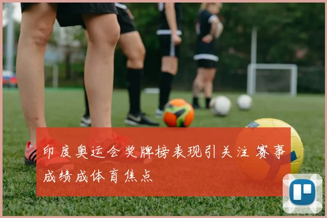 印度奥运会奖牌榜表现引关注 赛事成绩成体育焦点