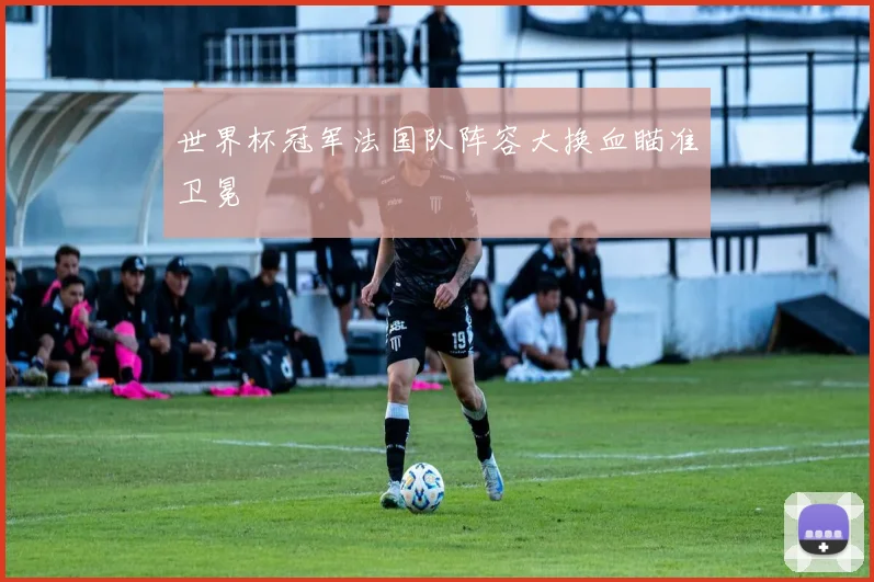 世界杯冠军法国队阵容大换血瞄准卫冕