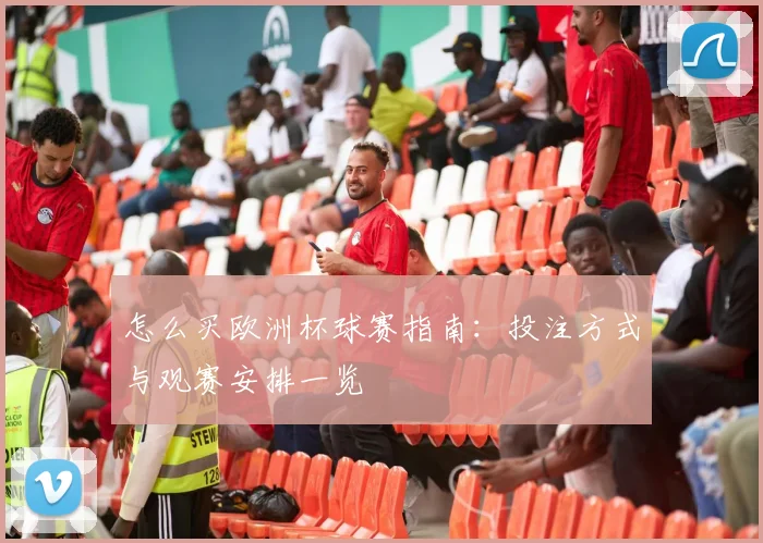 怎么买欧洲杯球赛指南:投注方式与观赛安排一览
